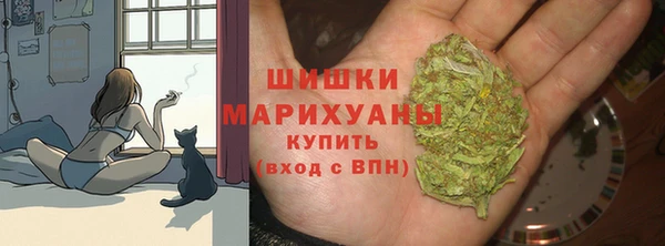 mdma Бородино