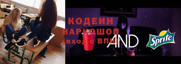 молекула духа Богородск