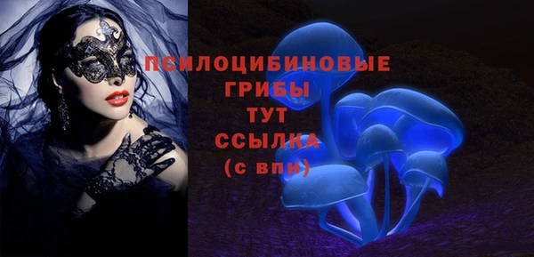 молекула духа Богородск